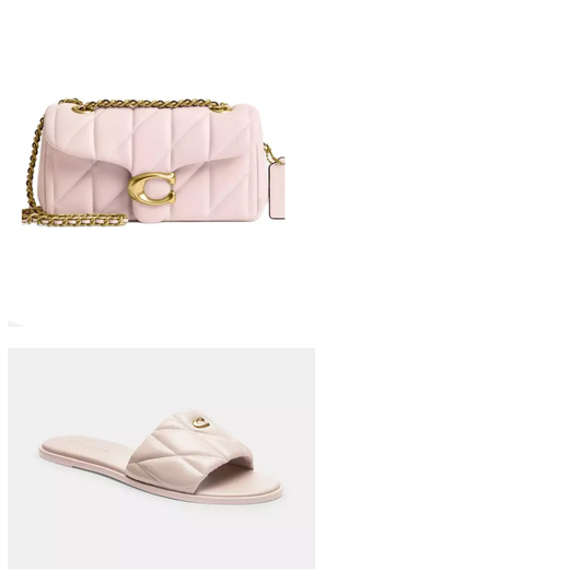 Coach Shoulder Bag + Sandals (Pink)