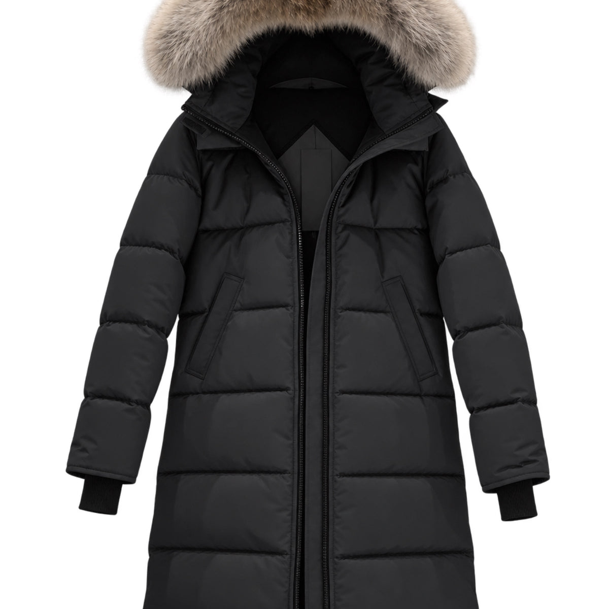 Canada Goose